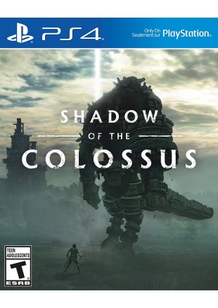 SHADOW OF THE COLOSSUS  (USAGÉ)